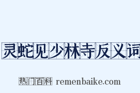 灵蛇见少林寺反义词是什么意思的图片